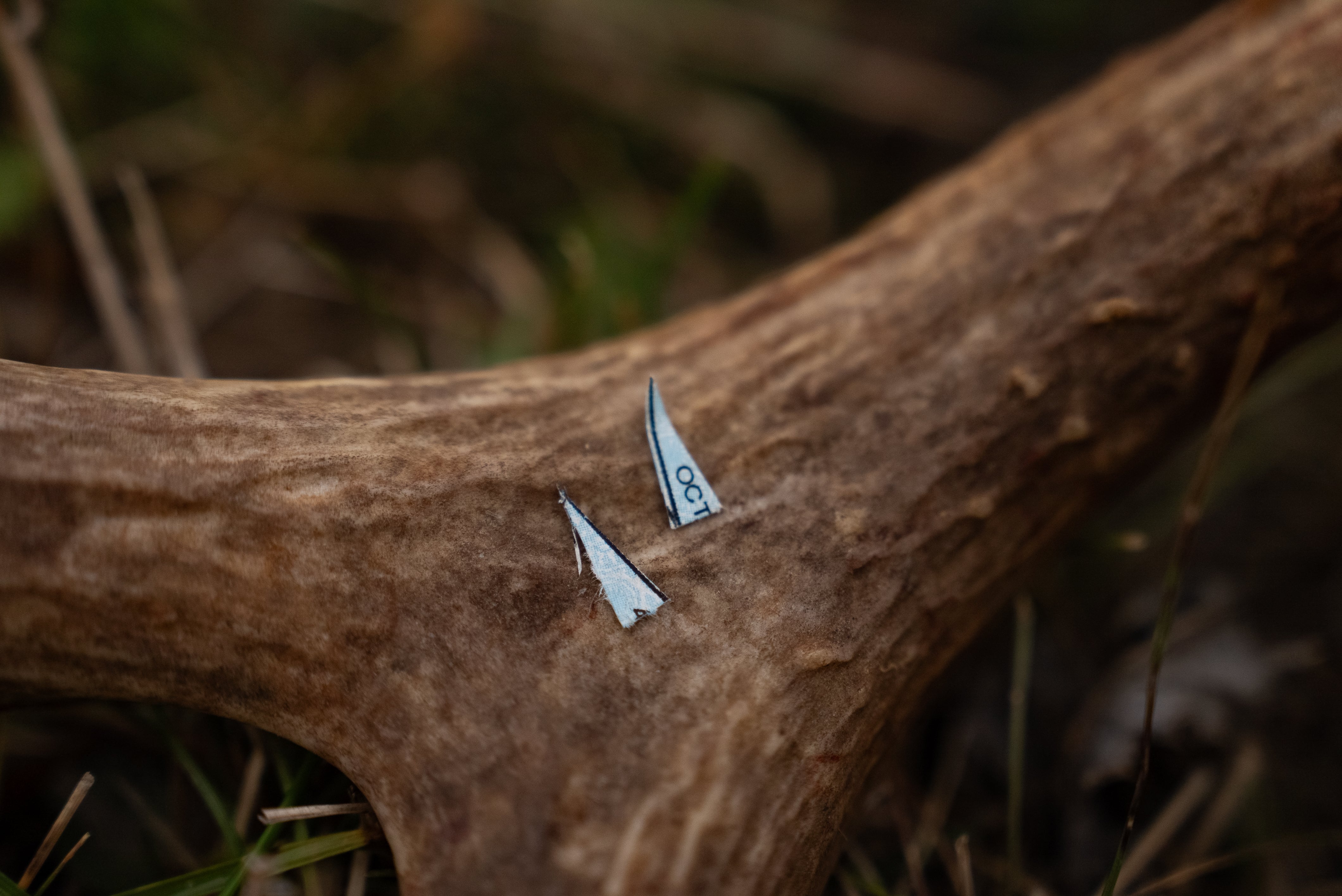 FALL STARTS WITH AN APPLICATION