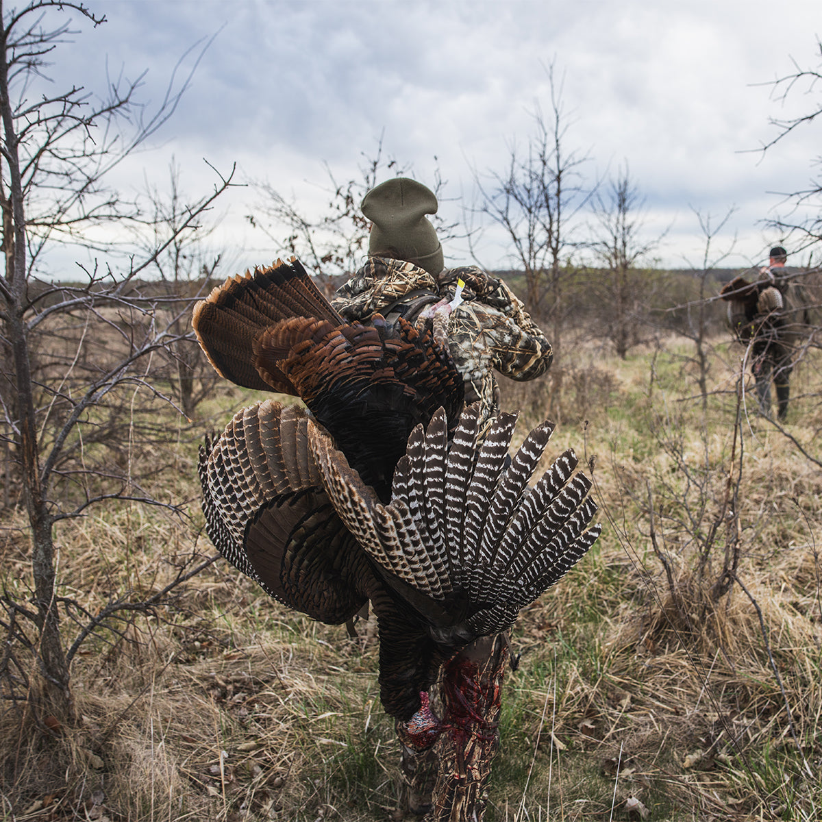 Person holding a large bird in a field with another person in the background