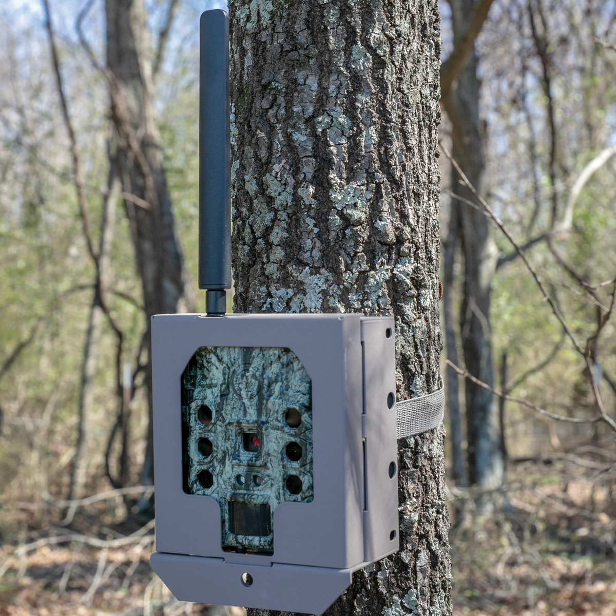 Trail Camera Security Box | Non-Cellular | Bushnell