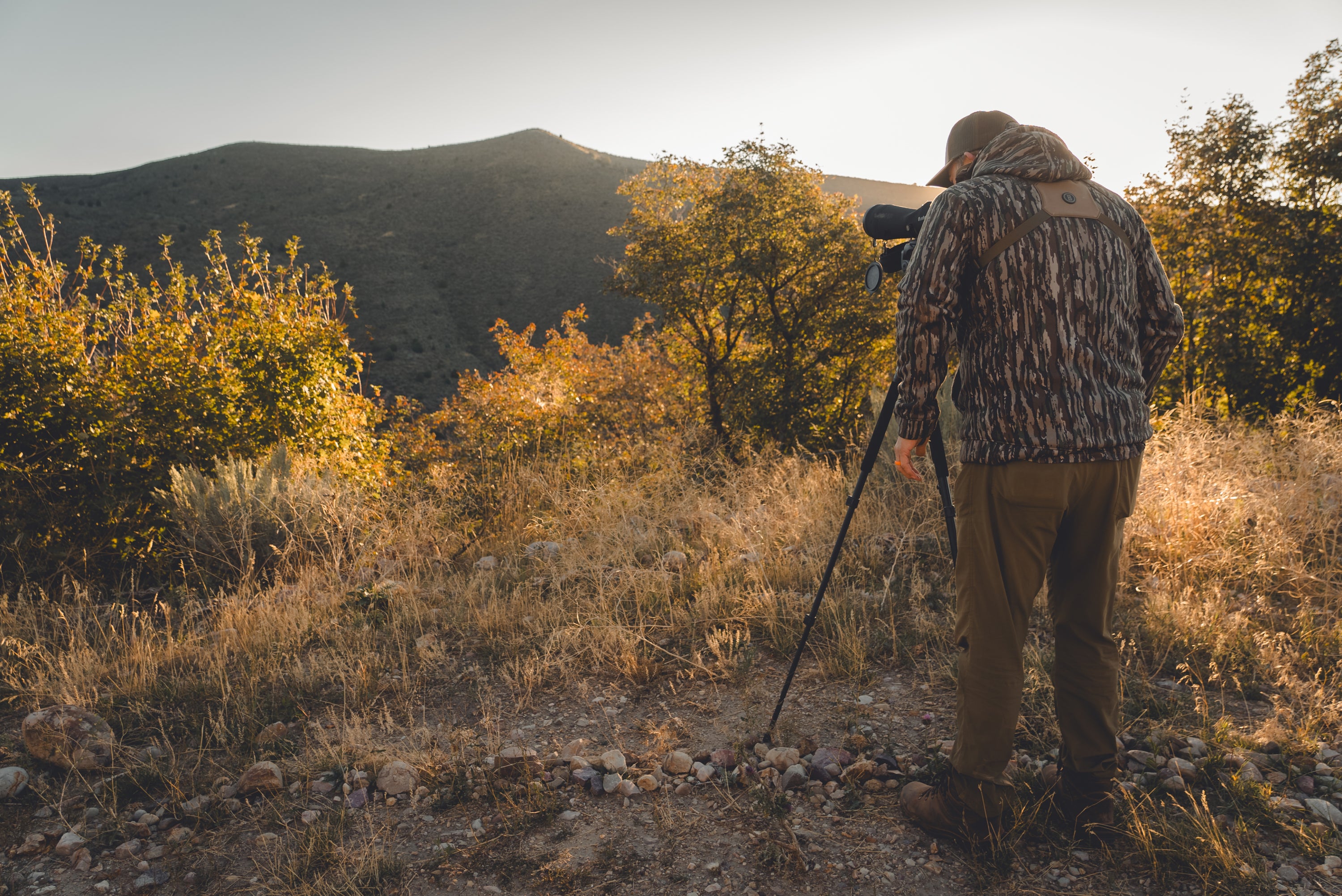 A person wearing camouflage clothing looks through a spotting scope on a tripod, standing in a sunlit, grassy area with bushes and hills in the background.
