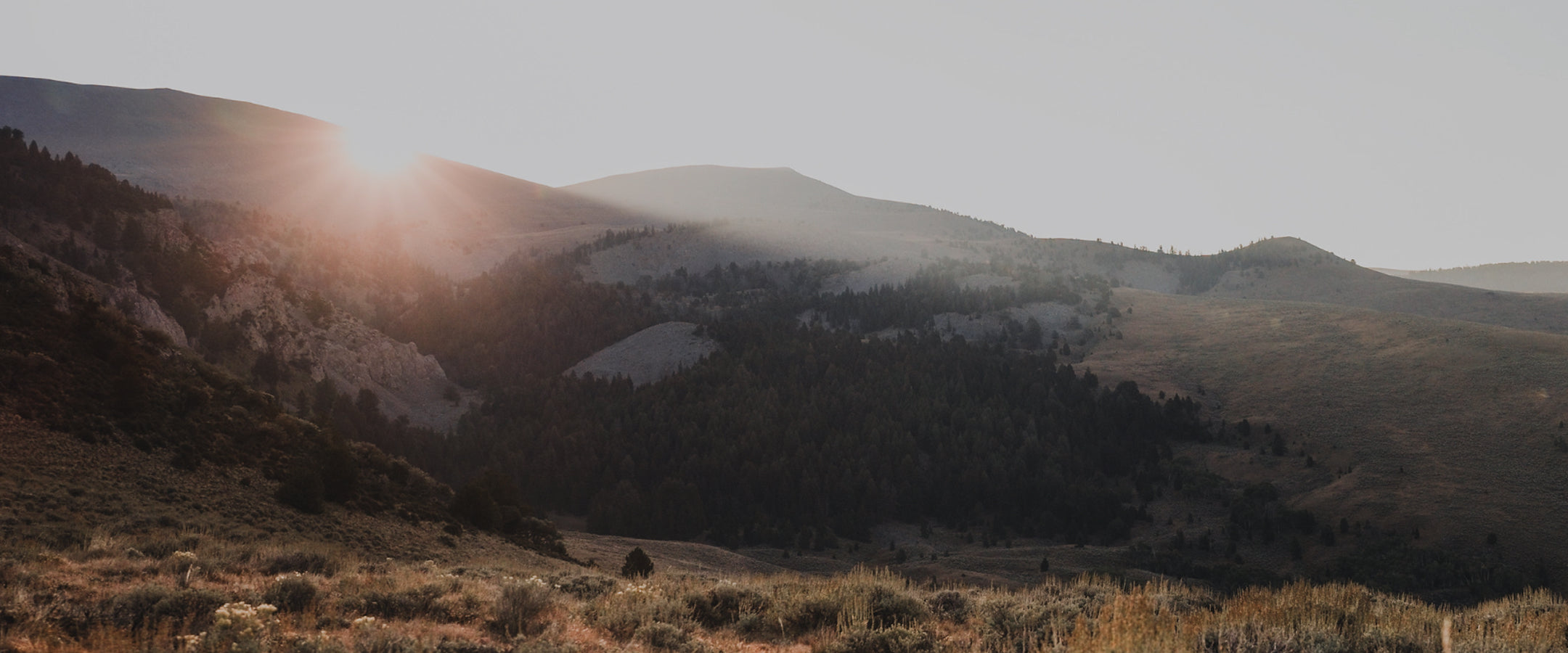 The sun rises over a range of rolling hills and forested mountains, casting light and shadows across the landscape with wild grasses in the foreground.