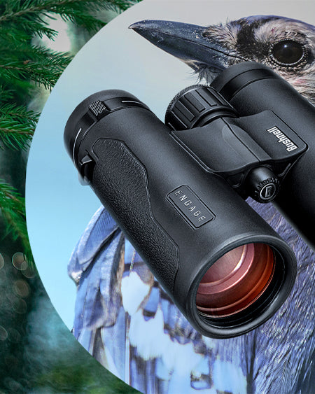 A pair of black binoculars is positioned in front of a close-up image of a bird, with green pine branches in the background. The binoculars lens reflects a reddish hue.