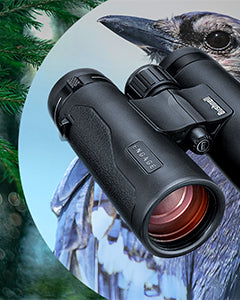 A pair of black binoculars in the foreground, with a close-up image of a bird with gray and blue feathers and a tree branch with green pine needles in the background.
