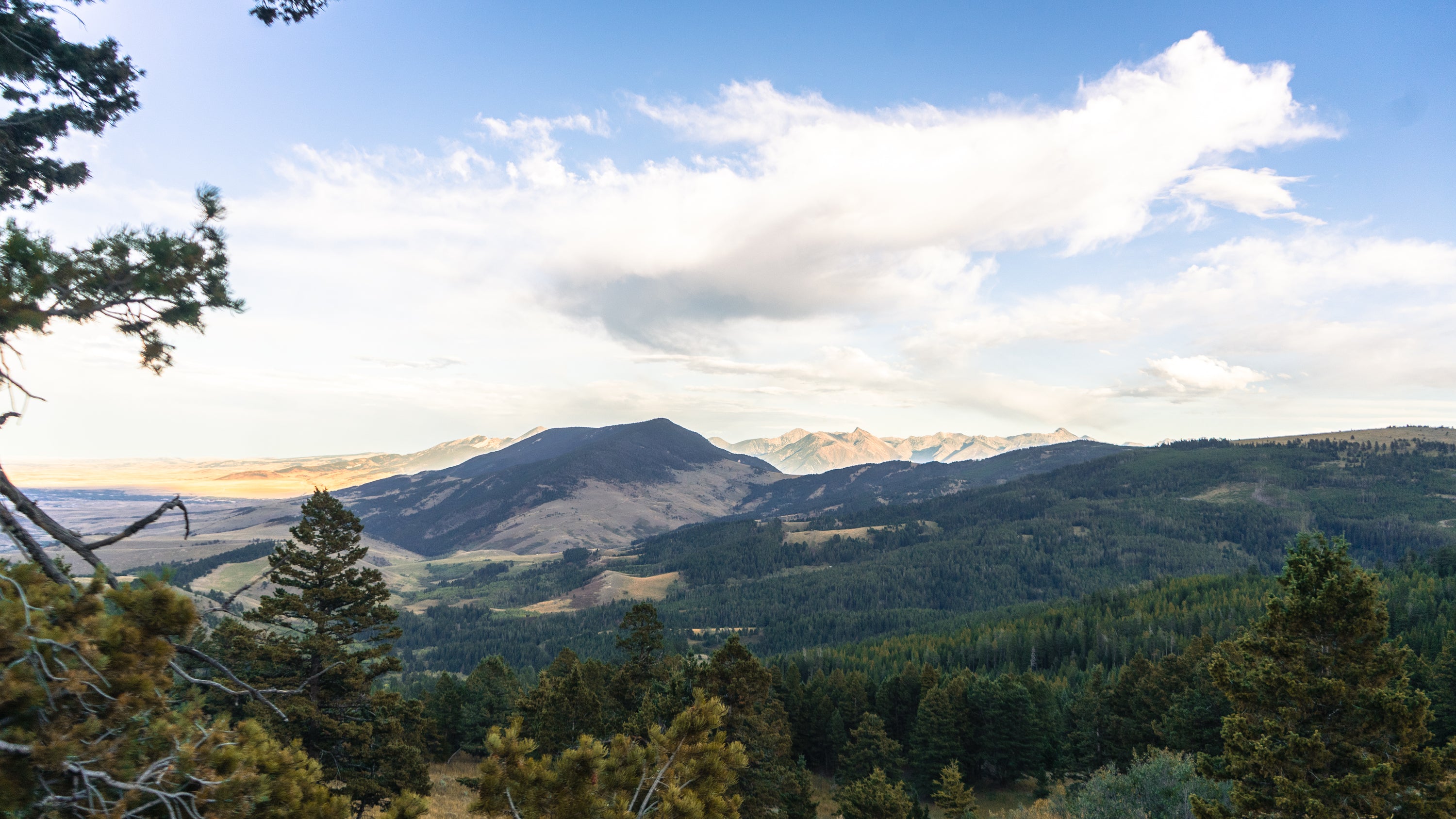 Scenic landscape of a lush green forest, rolling hills, and distant mountains under a blue sky with scattered white clouds. Pine trees frame the foreground.