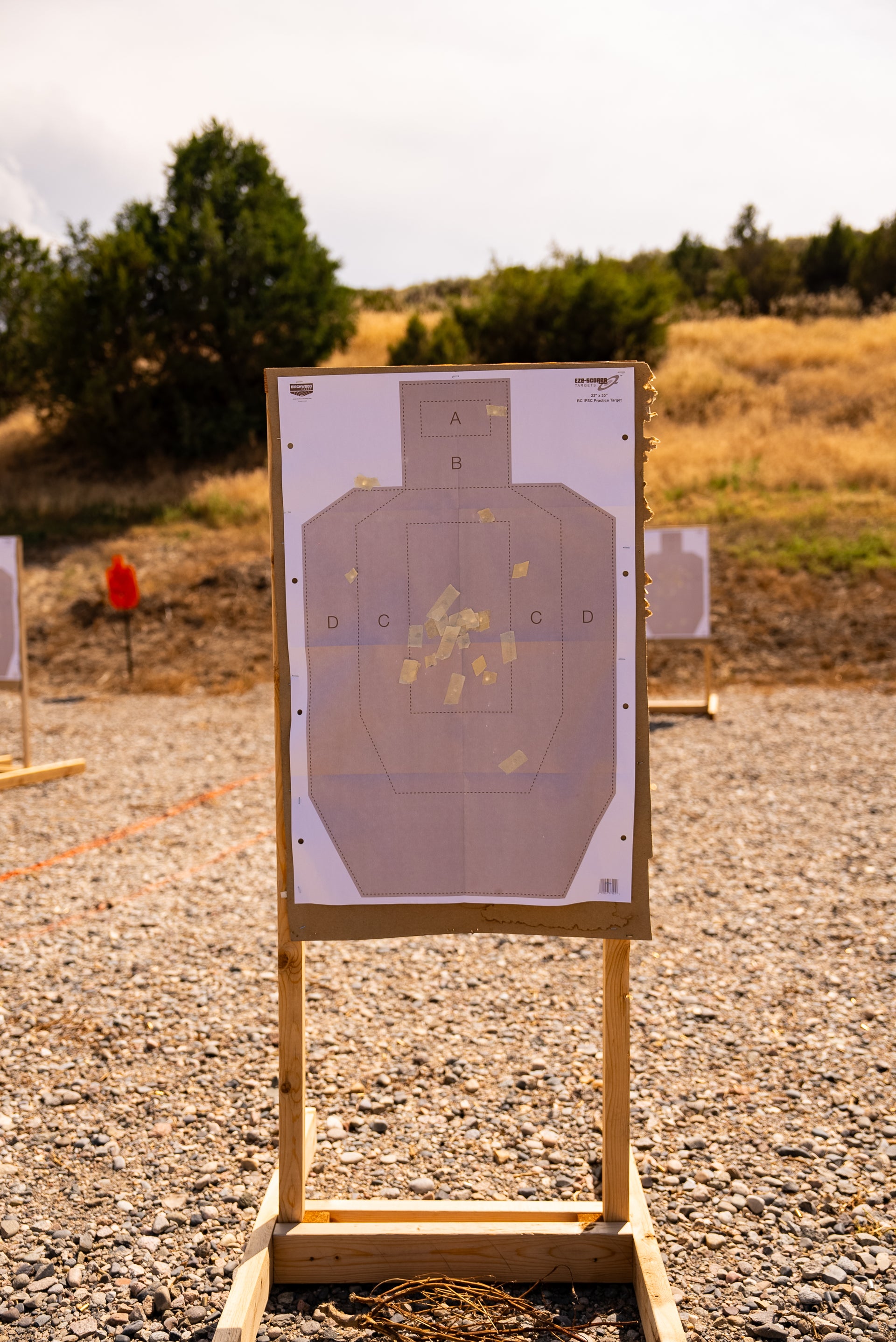 Target with bullet holes on a shooting range