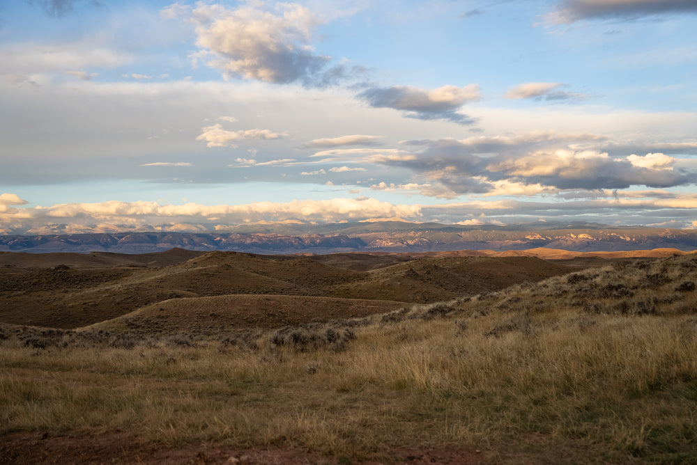 Rolling grassy hills under a wide, partly cloudy sky with distant mountain ranges in soft sunlight. The landscape features dry grass and earthy tones, evoking a calm, open, and expansive scene.