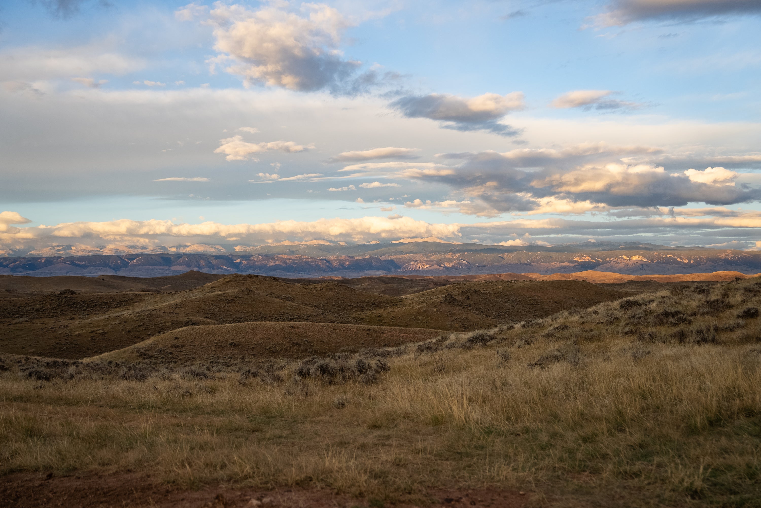 Rolling grassy hills under a wide, partly cloudy sky with distant mountain ranges in soft sunlight. The landscape features dry grass and earthy tones, evoking a calm, open, and expansive scene.