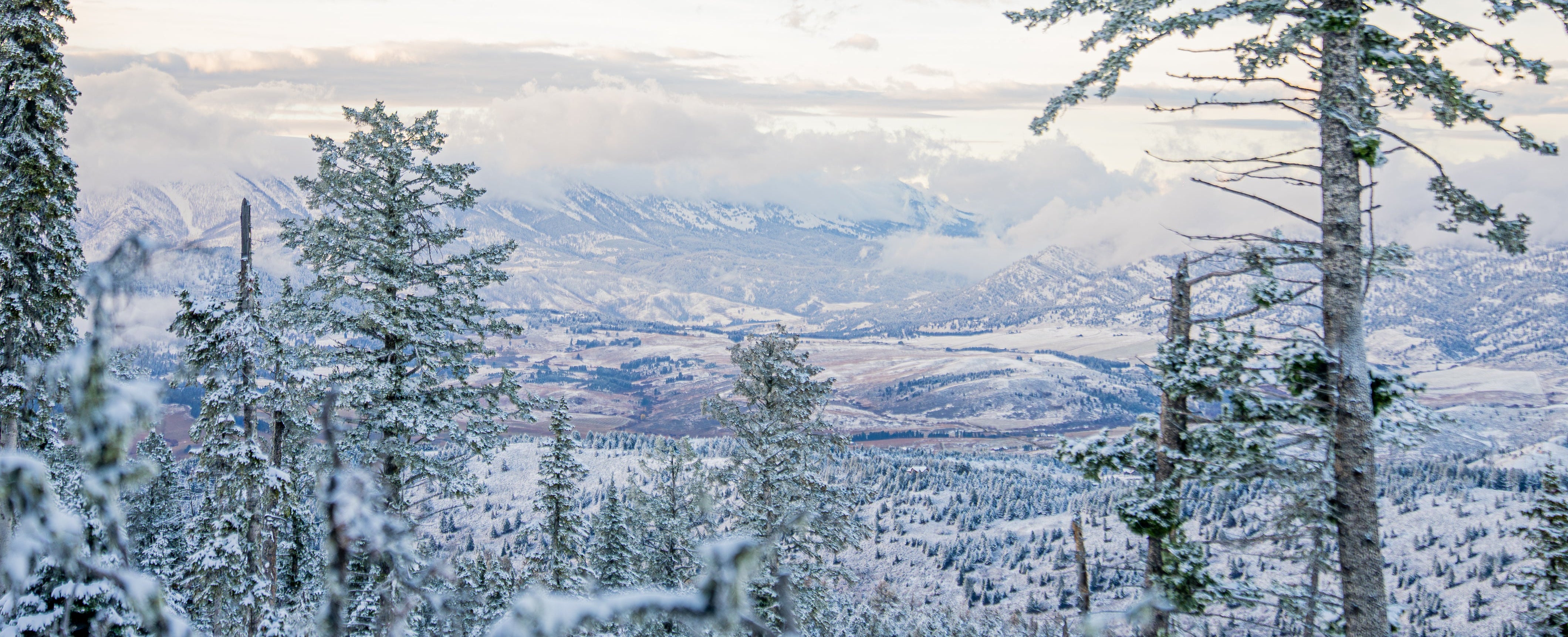 A snowy mountain landscape with evergreen trees in the foreground, a valley below, and a cloudy sky in soft pastel tones.