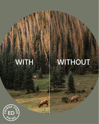 Comparison of 'With' and 'Without' effects on a forest scene with a deer.