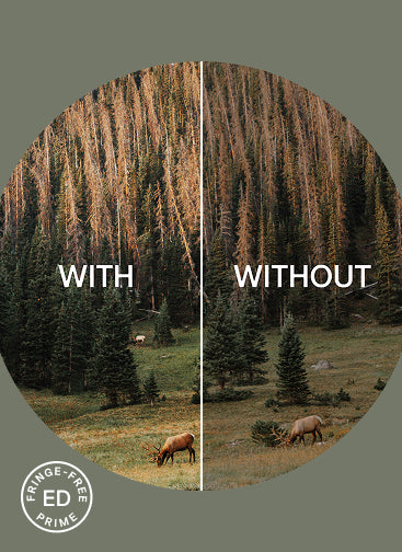 Comparison showing improved colour definition with Bushnell ED Prime Glass