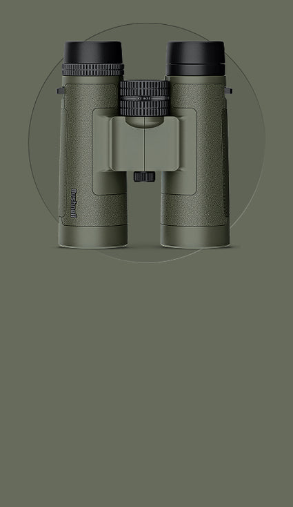 R3 Bino on green image for mobile