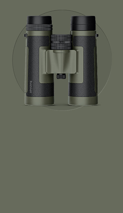 R5 Bino on green image for mobile