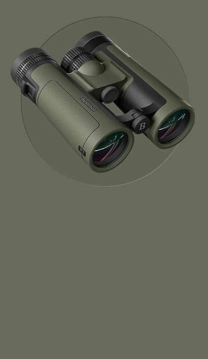 R7 Binos on green mobile