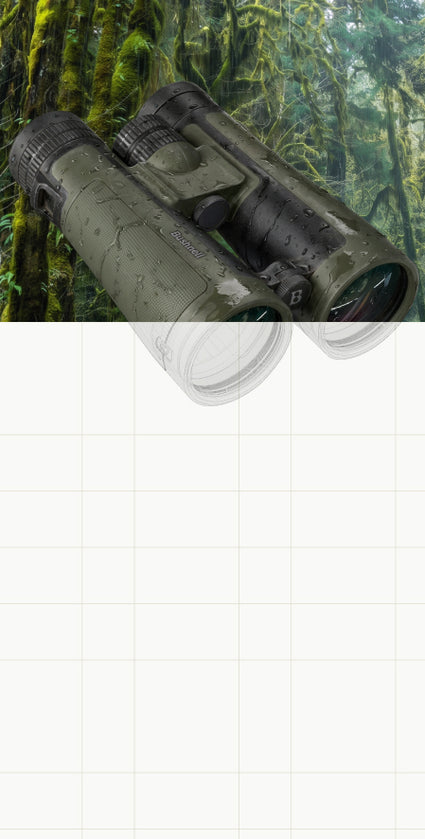 A pair of binoculars with a textured olive green and black finish, shown against a blurred forest background. The top half of the image features the binoculars, while the bottom half is a blank off-white grid background.