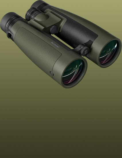 A pair of binoculars in olive green and black, shown at an angle against a solid olive green gradient background. The brand name 'Bering' is visible on the side of the eyecase.