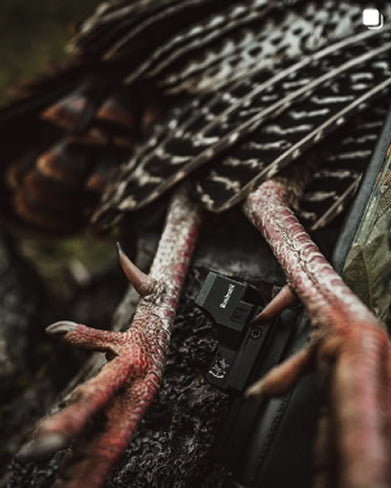 Close-up of a bird's feet and feathers with a camera lens in the background