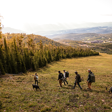 A group of six people and a dog hike down a grassy slope surrounded by pine trees, with mountains and a valley visible in the distance under a bright sky.