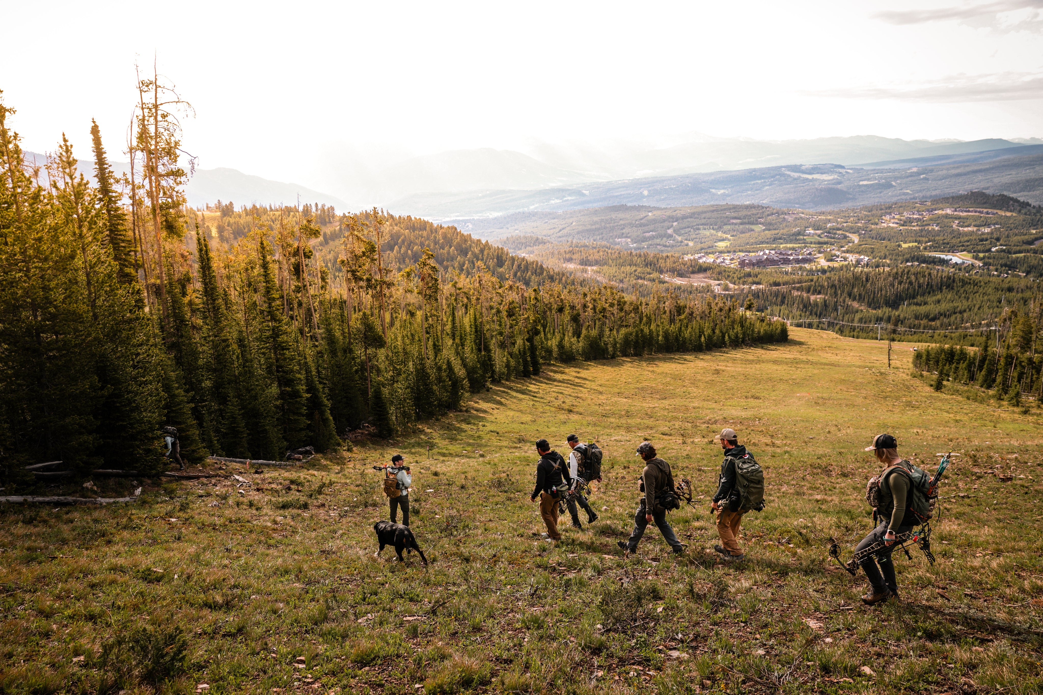 A group of people with backpacks and gear, accompanied by a dog, hike down a grassy mountain slope surrounded by pine trees, with a scenic valley and distant hills in the background.