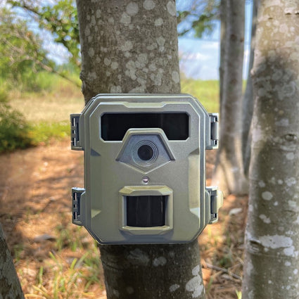 Camouflage trail camera attached to a tree in a natural outdoor setting