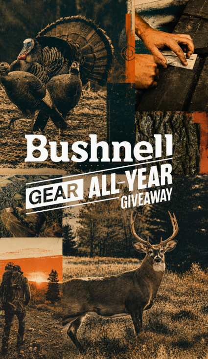 Promotional collage for Bushnell Gear All-Year Giveaway, featuring a turkey, a deer, a hunter silhouette at sunset, hands holding a phone, and large white text reading 'Bushnell GEAR ALL-YEAR GIVEAWAY' over a dark outdoor background.