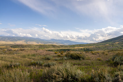 Wide view of a grassy, open meadow with rolling hills and distant mountains under a partly cloudy sky. The landscape features scattered shrubs and wildflowers with soft sunlight highlighting the scene.
