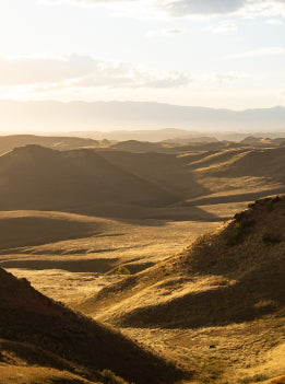 Hilly landscape with warm sunlight casting shadows on the terrain