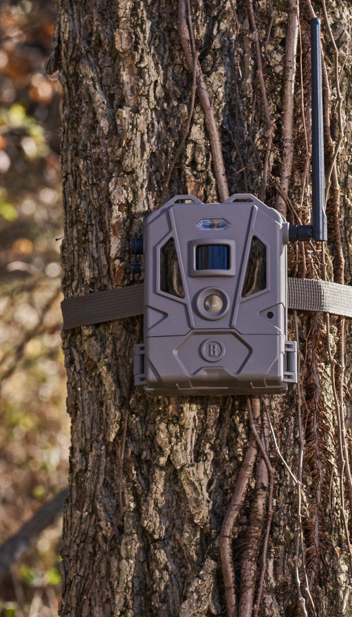 A motion-activated trail camera with an antenna is strapped to a tree trunk in a wooded area, surrounded by vines and bark texture, capturing wildlife activity.