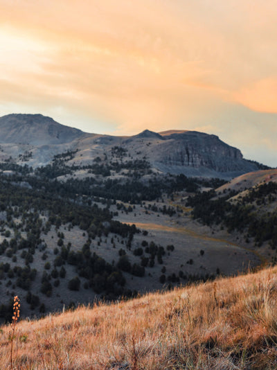 Scenic view of a mountain landscape with a sunset or sunrise.