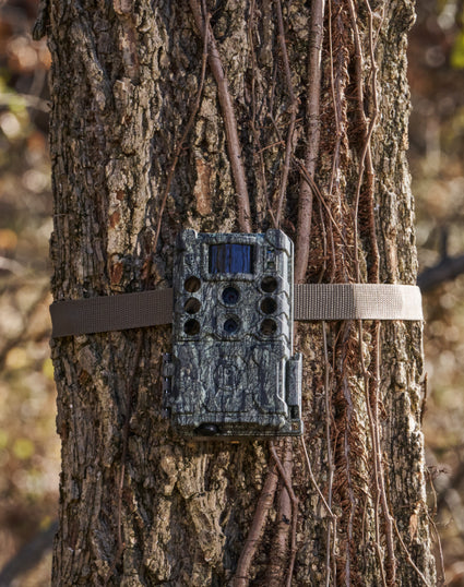 Camouflage trail camera attached to a tree in a natural setting
