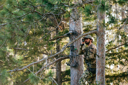 A person wearing camouflage gear stands in a tree among dense branches, holding binoculars to their eyes, likely observing or scouting in a forested area.