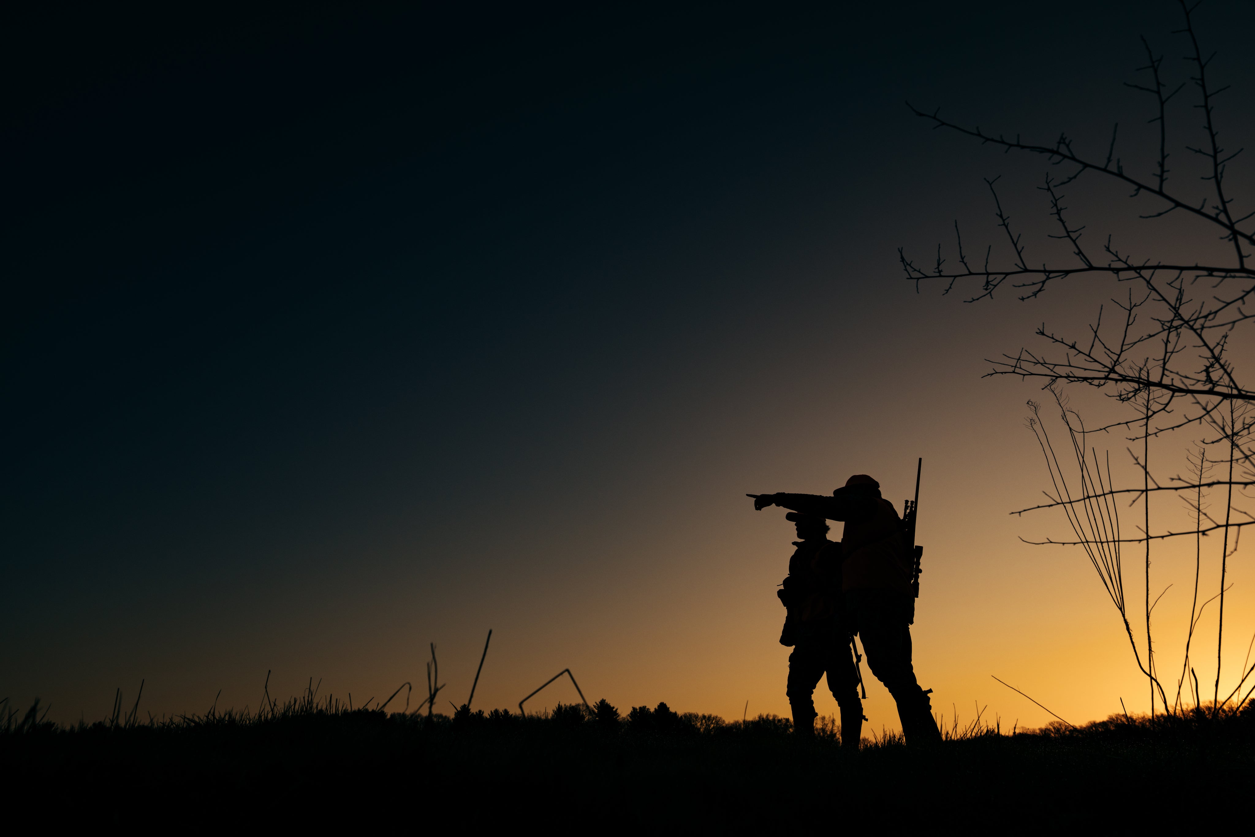 Silhouettes of two people standing on grass at sunset, one pointing towards the distance while the other looks on, with a bare tree branch visible on the right side of the image.