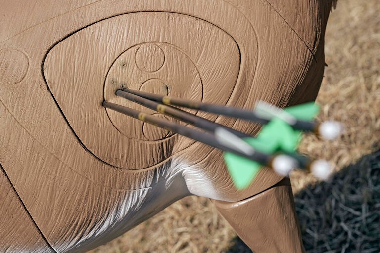 Broadhead rangefinder target shooting Broadhead rangefinder target shooting