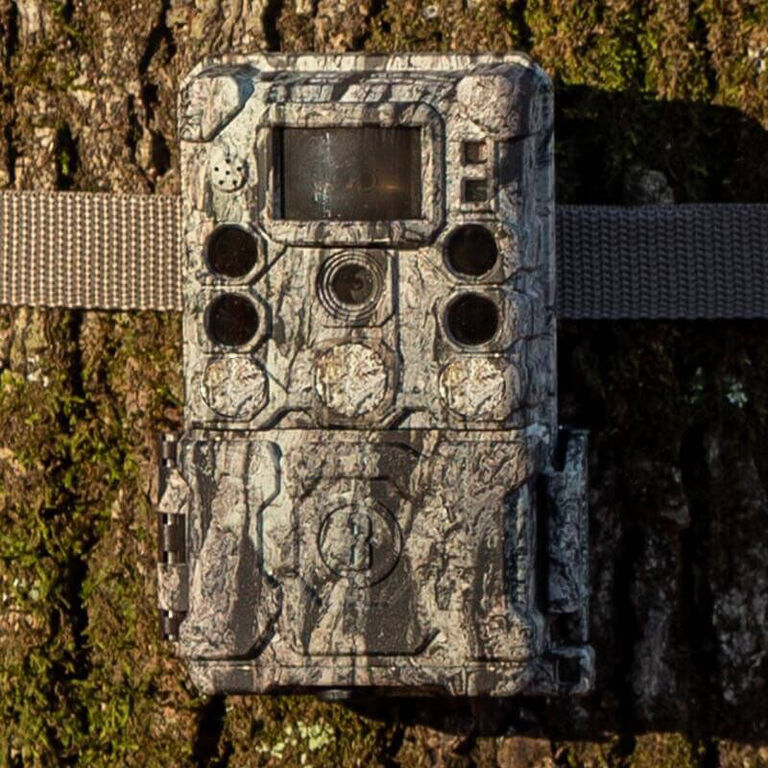 Aggressor Trail Camera