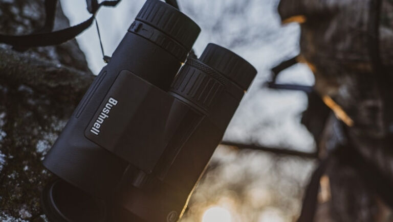 Binoculars hanging in tree with sunrise in background