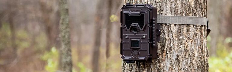 best canon lens for outdoor family portraits