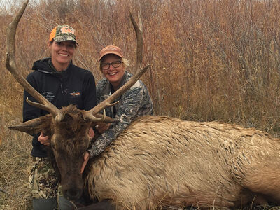 The Quest for Elk: A Journey of Resolve and Faith