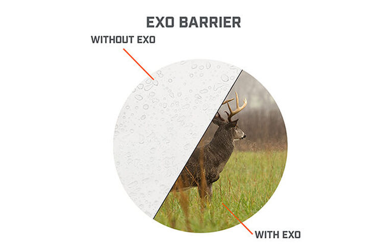 View of buck demonstrating EXO Barrier technology