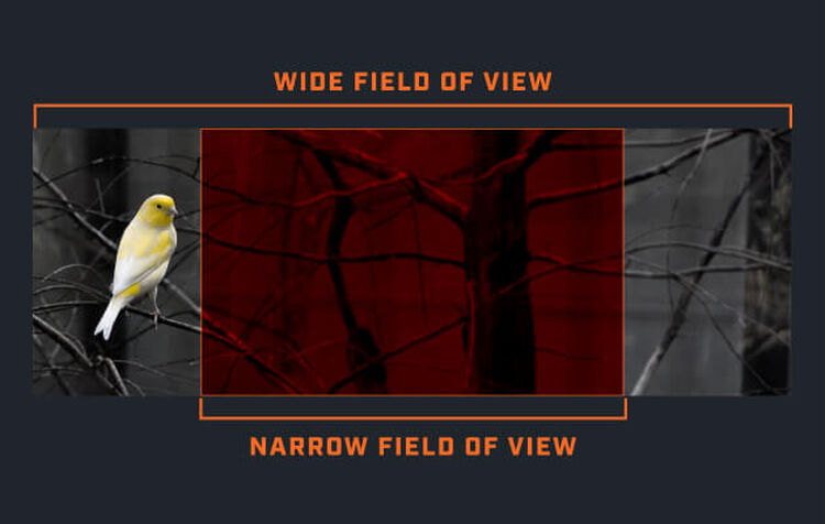 Graphic demonstrating Bushnell Binoculars wide field of view