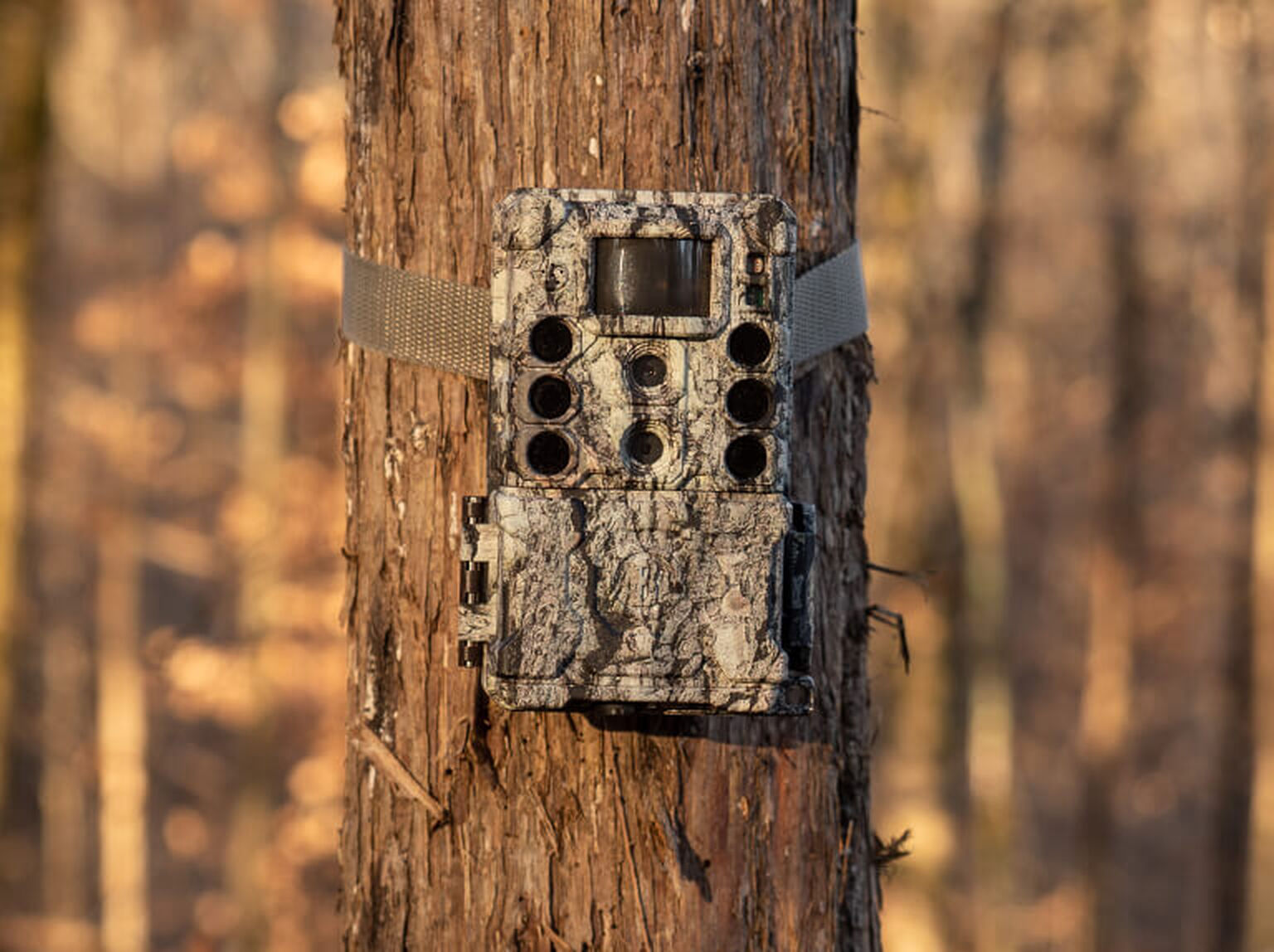 Trail Cameras Bushnell
