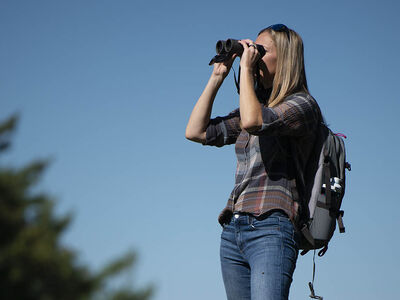 Binocular Field of View and What It Means to You