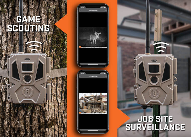 Picture of Cellucore Trail Camera on a Tree