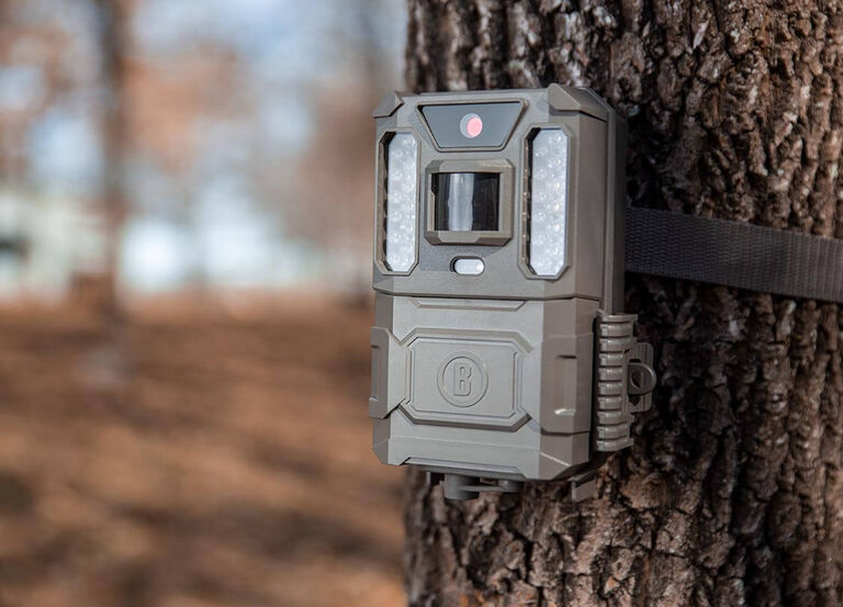 Shop Trail Cameras, Game Cameras, Wildlife Cameras & Wireless Cameras