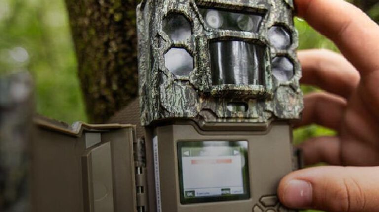 Person adjusting settings to Trail Camera attached to tree