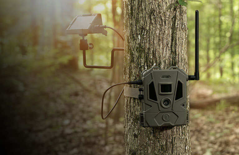 Cámara fototrampeo Bushnell Trophy Cam HD Aggressor No-Glow