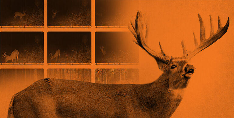 New Bushnell Trophy Cam Hd Essential Low Glow Scouting Trail Deer Camera 119736c Bushnell Wireless Camera Trophy