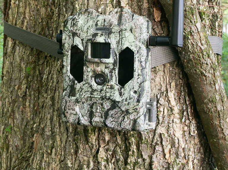 Cellular Trail Camera attached to a tree