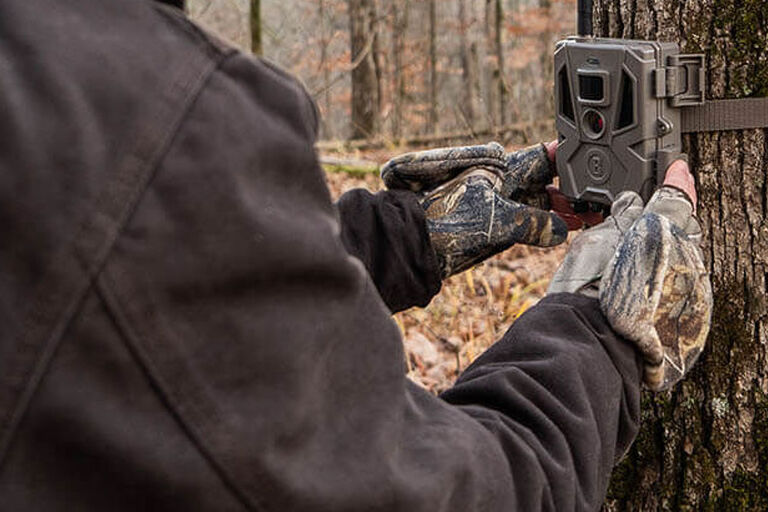 Bushnell trailcam Bushnell trailcam