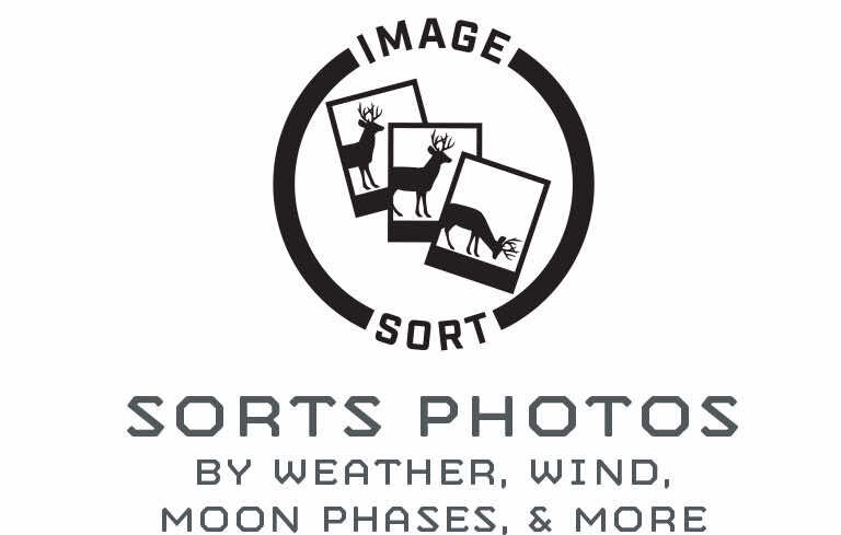 Image Sorting Feature