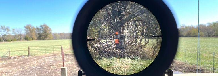 Steel Targets Viewed Through MOA Match Pro ED