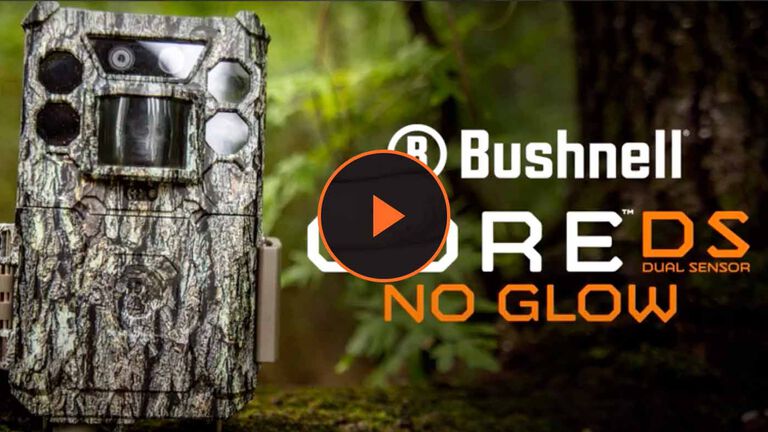 CÁMARA DE TRAMPEO FOTOGRÁFICO BUSHNELL CORE DS NO GLOW DE CAMUFLAJE CON  FLASH DE LUZ INFRARROJA INVISIBLE DE LEDS NEGROS Y SENSOR DUAL [E0019210] -  299,00€ : , Oryx. La tienda del